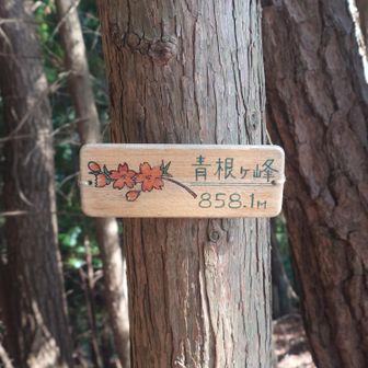 最終目的地に到着！