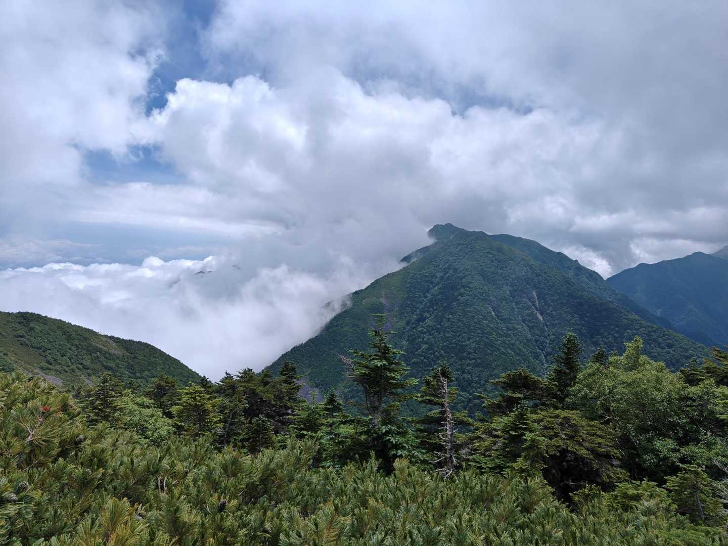 仙水峠-駒津峰-双児山-北沢峠-北沢峠バス停 周回コースの写真