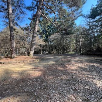 城山公園きた😀