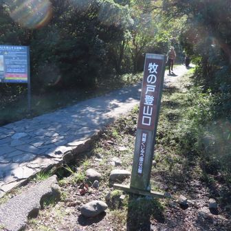 今日も宜しくお願い致します🙇
いきなりのコンクリ坂、登りで心拍上げて下りも脚に悪い地獄坂…😰