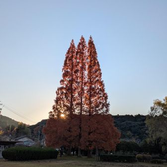 ありがとうございました(⁎ᴗ͈ˬᴗ͈⁎)