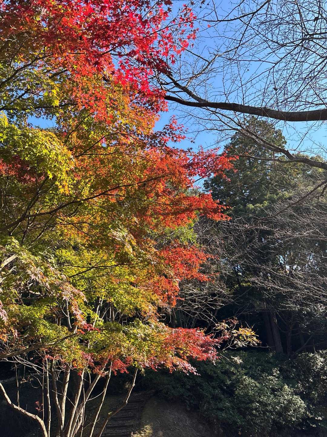 皿山公園バス停-岳城山-太祖神社-若杉山-奥の院 周回コースの写真