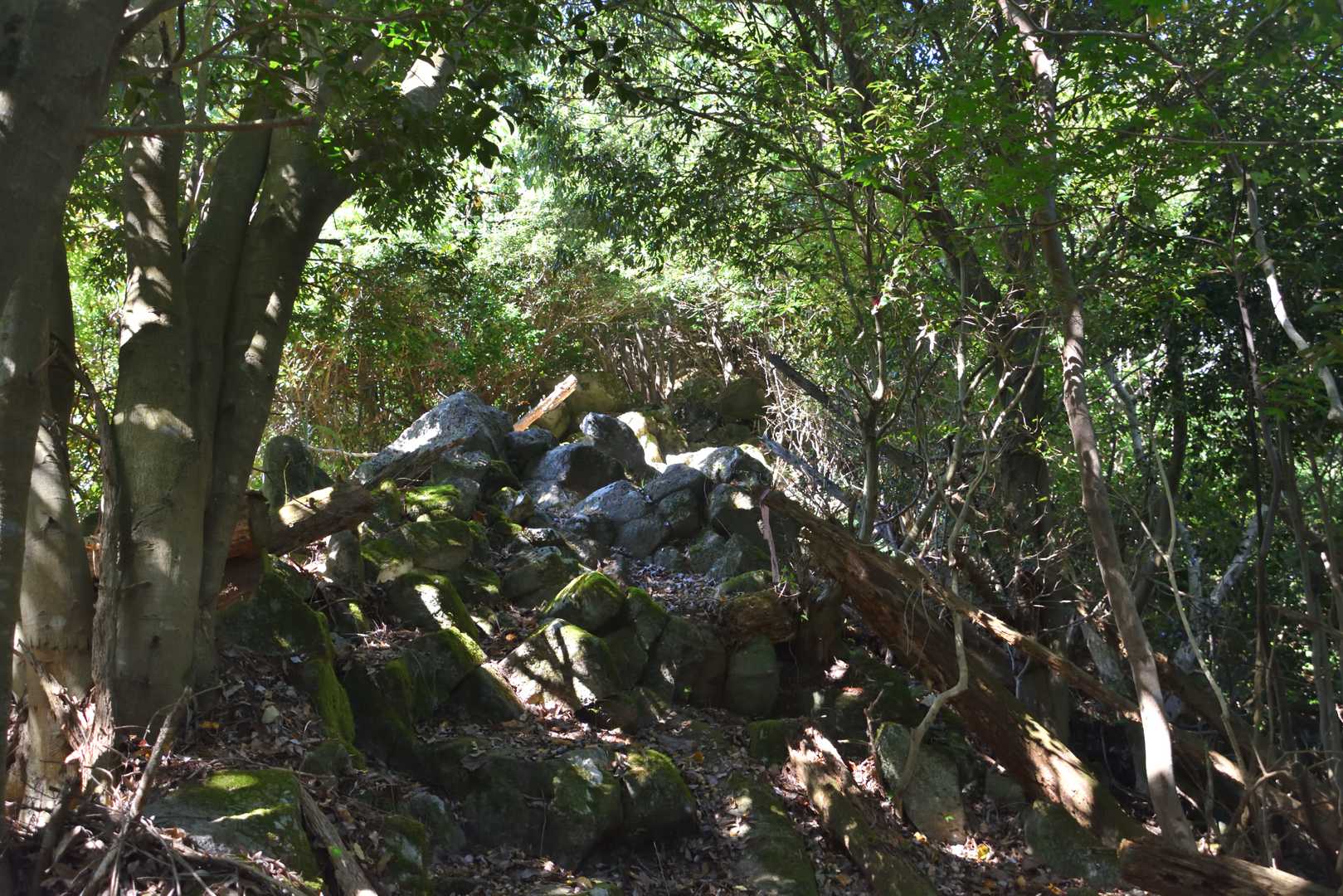 八坂神社を過ぎると岩が増えてきます