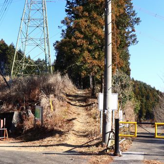 この真ん中の道を進みます。