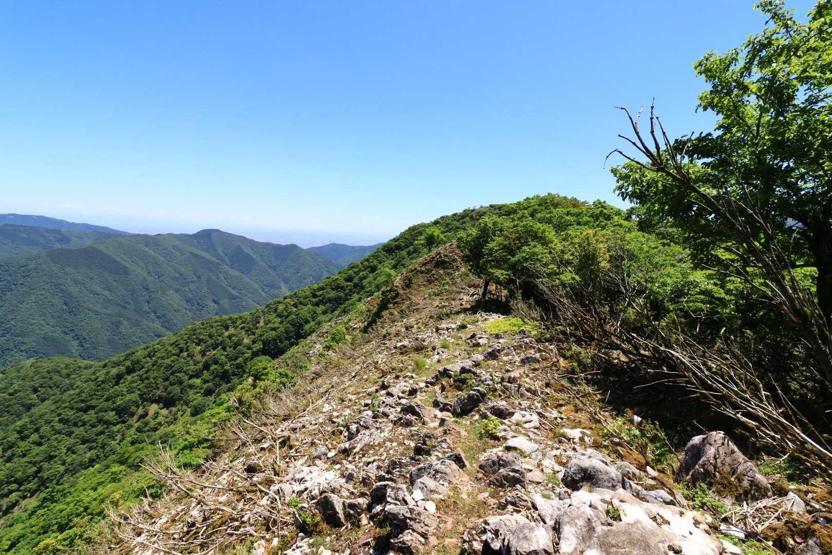稜線歩きは景色も良く気持ち良いです