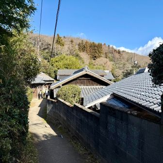 突然民家に出ました😳