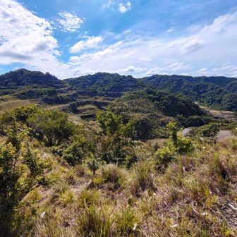 ここの裏から小鋸山にアプローチなのですが、泥濘と急登でまぁ危ないのなんの　
地面の緩い崖を無理矢理ロープで通れるようにした道です　
ヤバすぎて写真を撮り忘れました😅