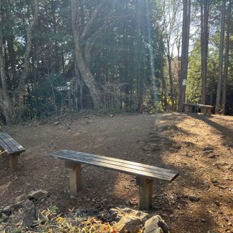 分岐に綺麗な椅子