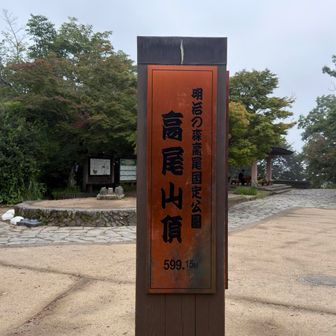 山頂標識にも挨拶🙇‍♂️