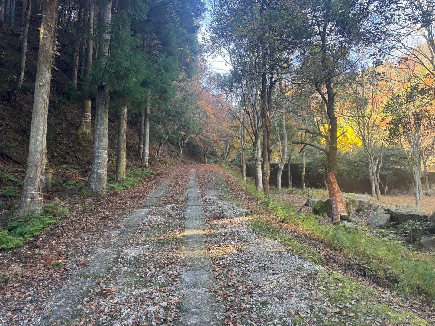 11月の後半にしては暖かく
天気も良いので歩きやすいです。