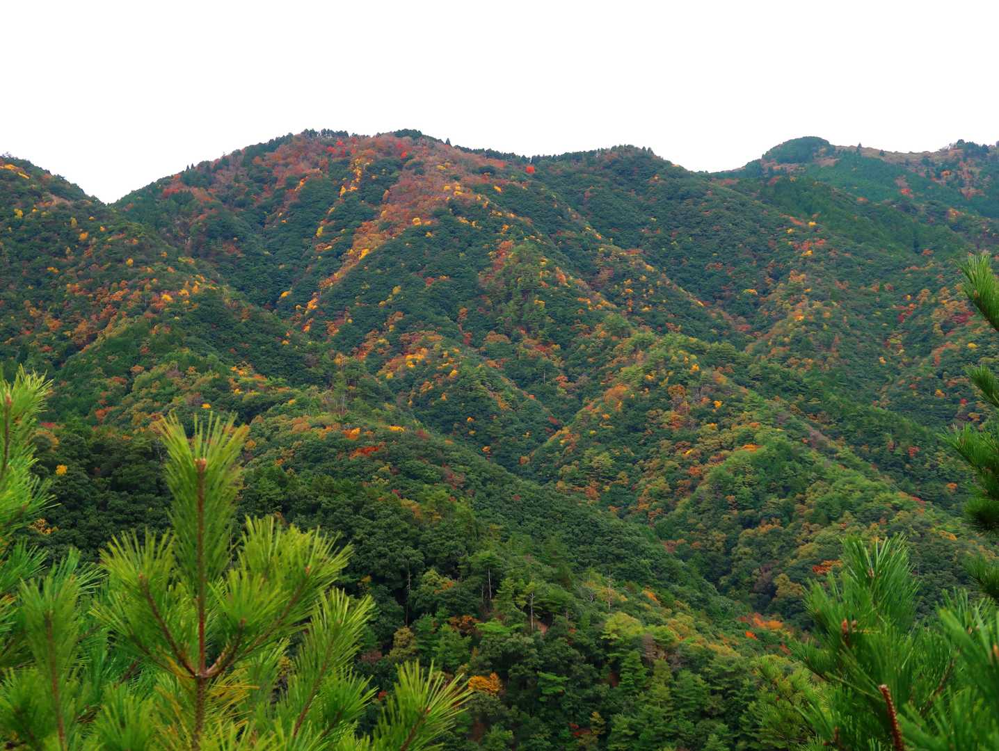 その後は部分的に急激な下り部分を数回クリアし、下山完了でした。変化の多い楽しい周回ルートでした。