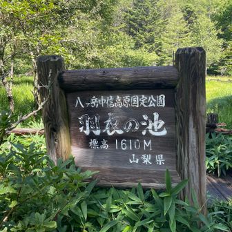 羽衣の池