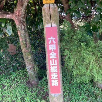 🤭通りたかった