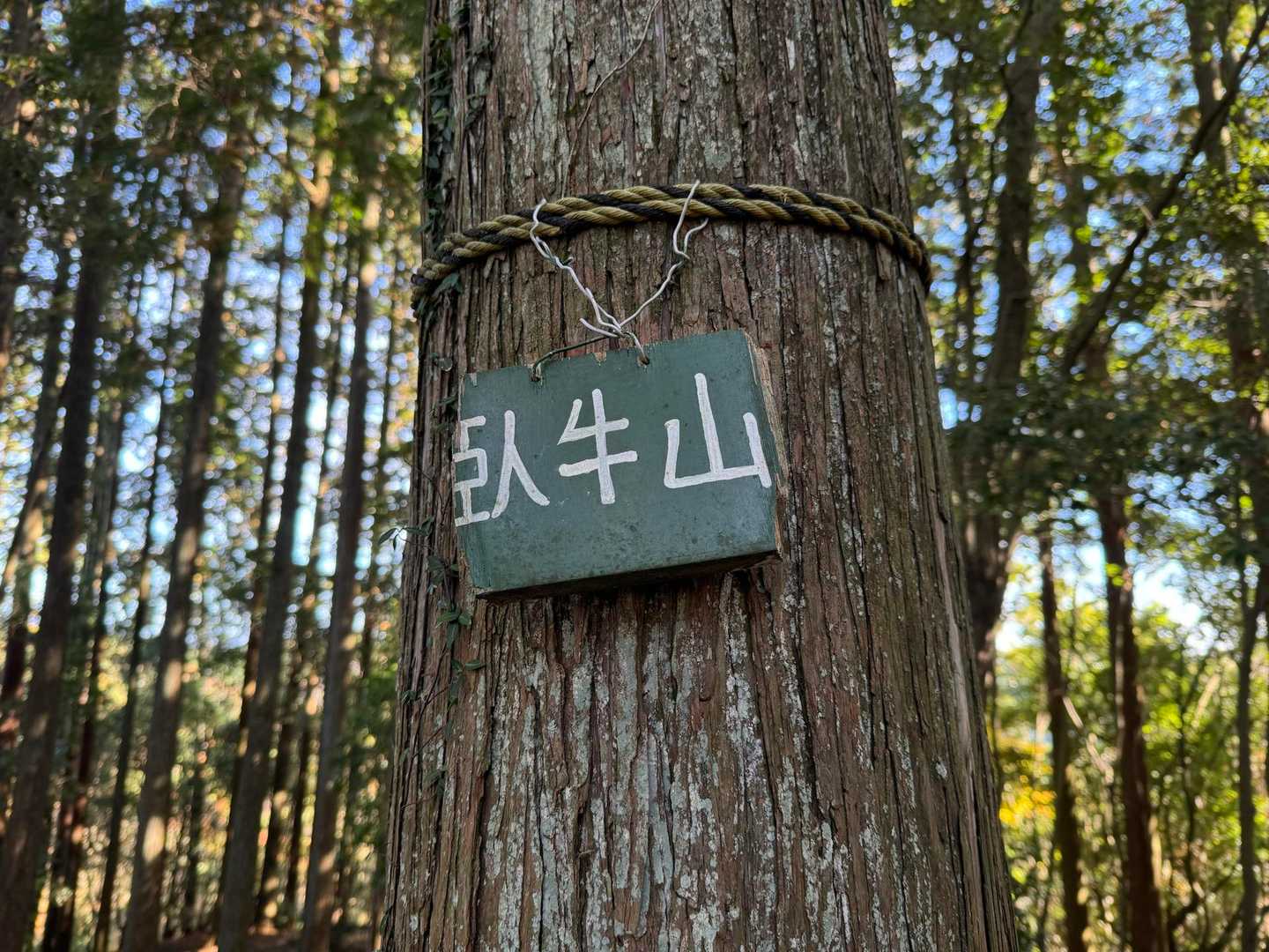 臥牛山山頂に到着！