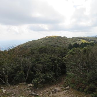 入道ヶ岳頂上が見えました。