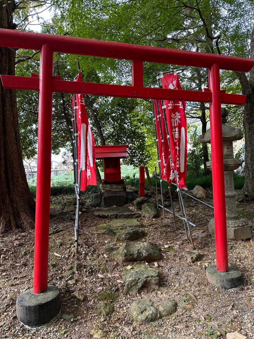 御望山 往復コースの写真