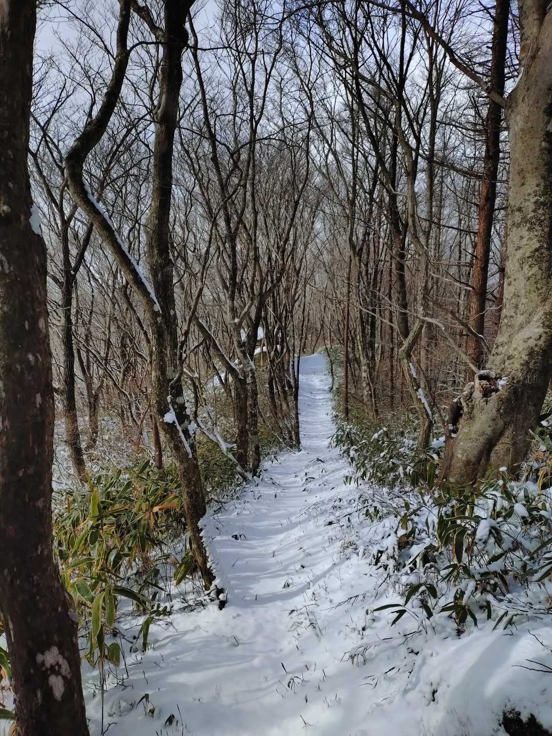 チェンスパ履いて下山します
