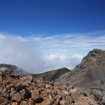 奥に山見える山どこだろ
あと調べ🔍白山2702m
百名山なのでいつかは行くお山でした✨