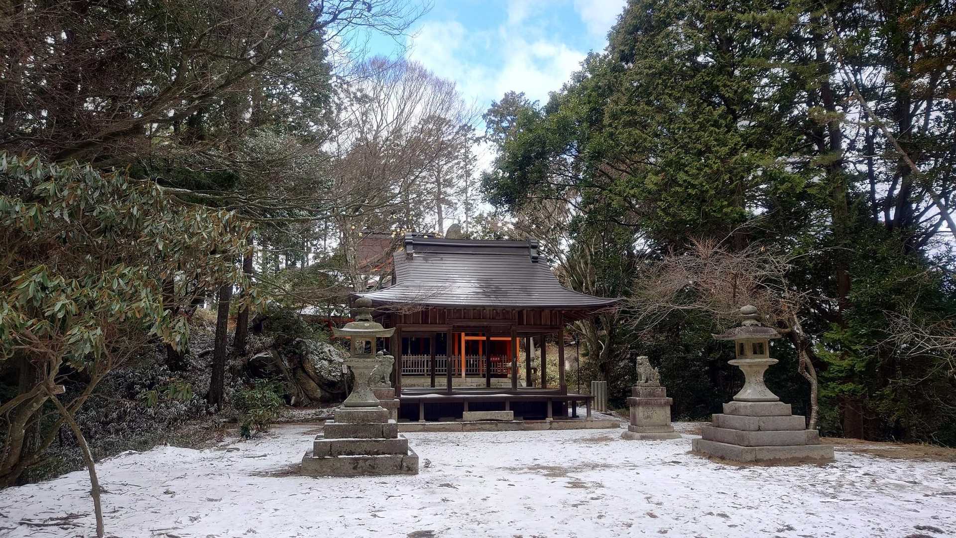 忍法木ノ葉隠れの術🥷ﾄﾞﾛﾝ
仲間は？…木の後ろに姿を消していました！|дﾟ)