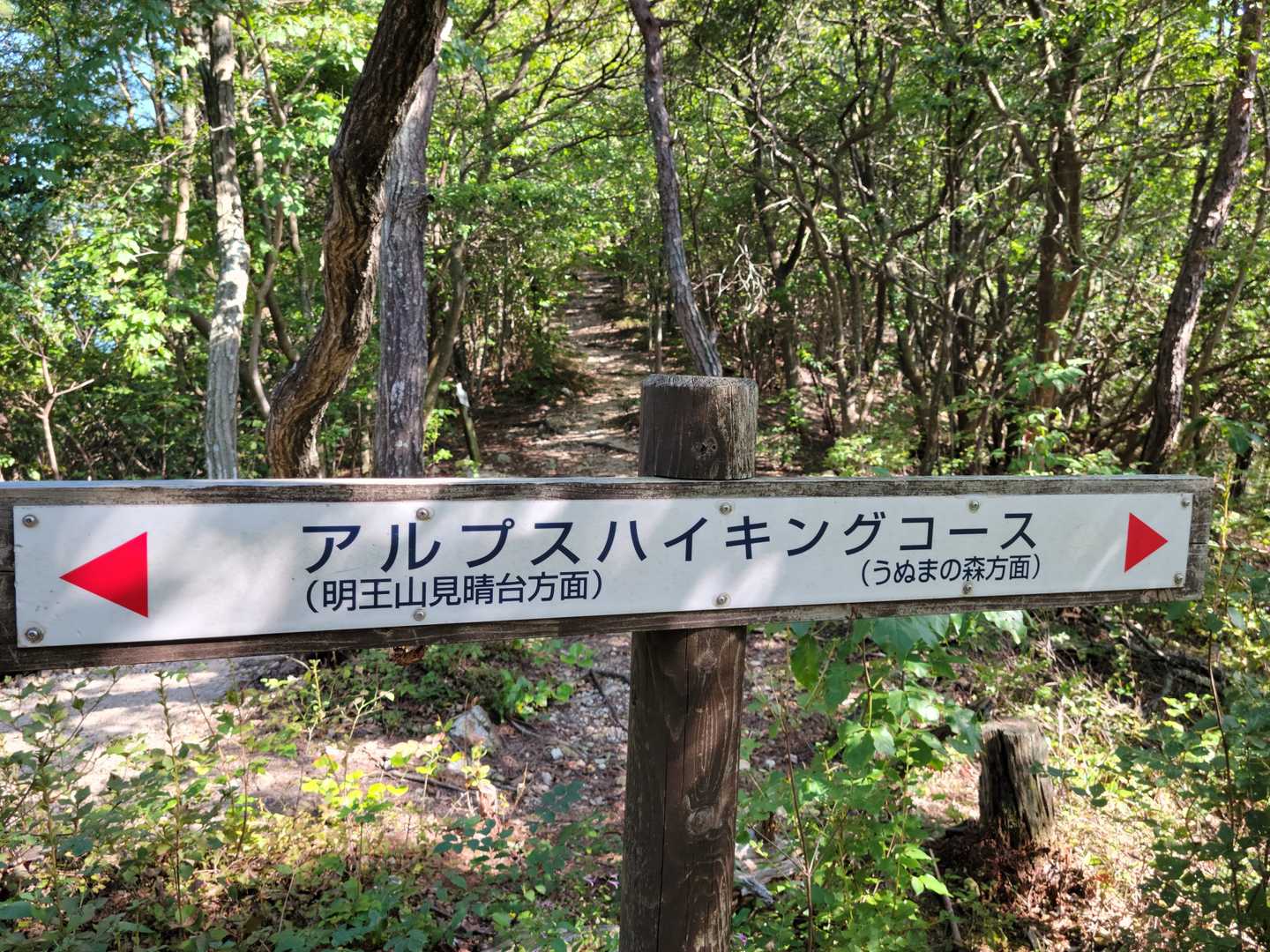 ここから急な下りが始まります。