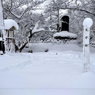 白から黒へのグラデーションだけで構成される雪景色は水墨画的で、落ち着く。大好きな風景の一つ。