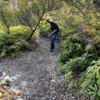 後ろ向きが楽なんよと
新しい登山スタイルを試しているよう😂
人それぞれですね😂