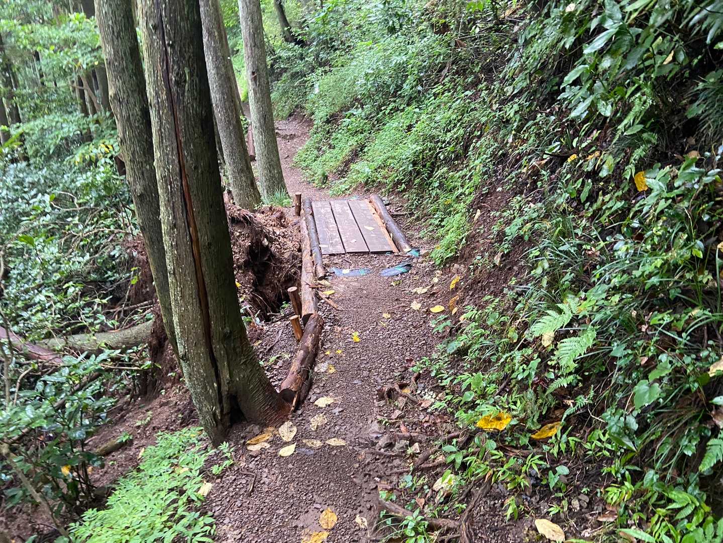 満観峰 往復コースの写真