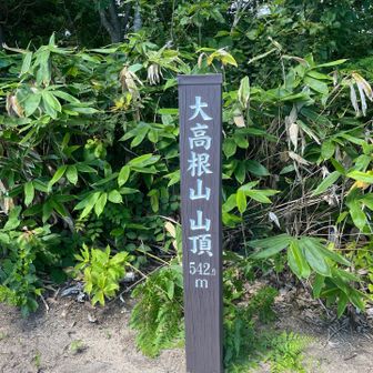 着きましたー