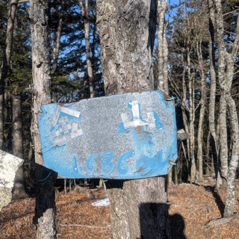 金山、前回はここまで来なかったなぁ