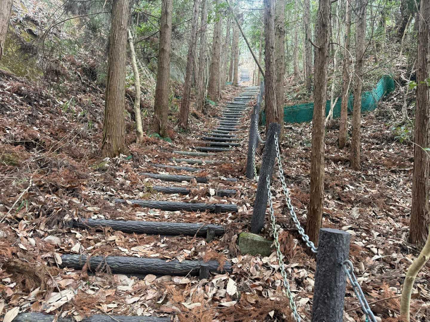 しばらくずっと、木段が続く