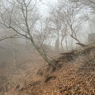 ガスってきた😅