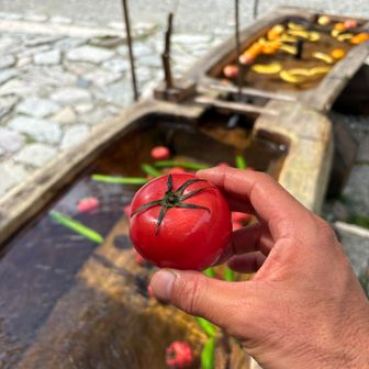 わさび平でトマト🍅
絶対食べようと思ってた😋

鏡平で槍待ちしてた青年2人と再会。
最後のロード一緒に歩いてくれた。
ありがとう。
そしてお疲れ山でした⛰️