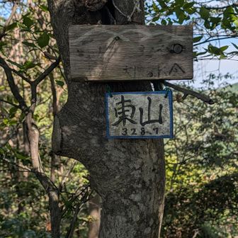 東山のピークハントはパスして、国見台展望台を直進される事を強くお勧めします😣