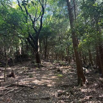 …アブ🪰接近してくる

うちわで迎撃してやる❗️ここは殺生禁断とは書かれてない❗️