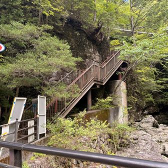 みたらい渓谷入り口まで来ました！これから駐車場まで戻ります🏃‍♀️