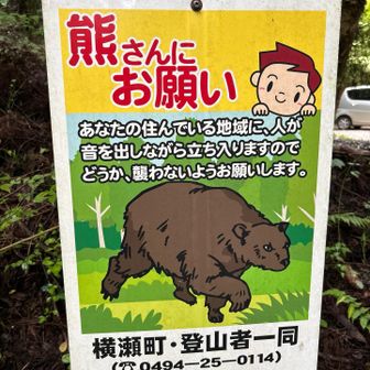 霧雨から雨☔良い体験ができました。又ね🐾

くま様🐻　
気づいてもそっと見守って頂けたら有り難いです。
私からもお願い致します🙇‍♀️

