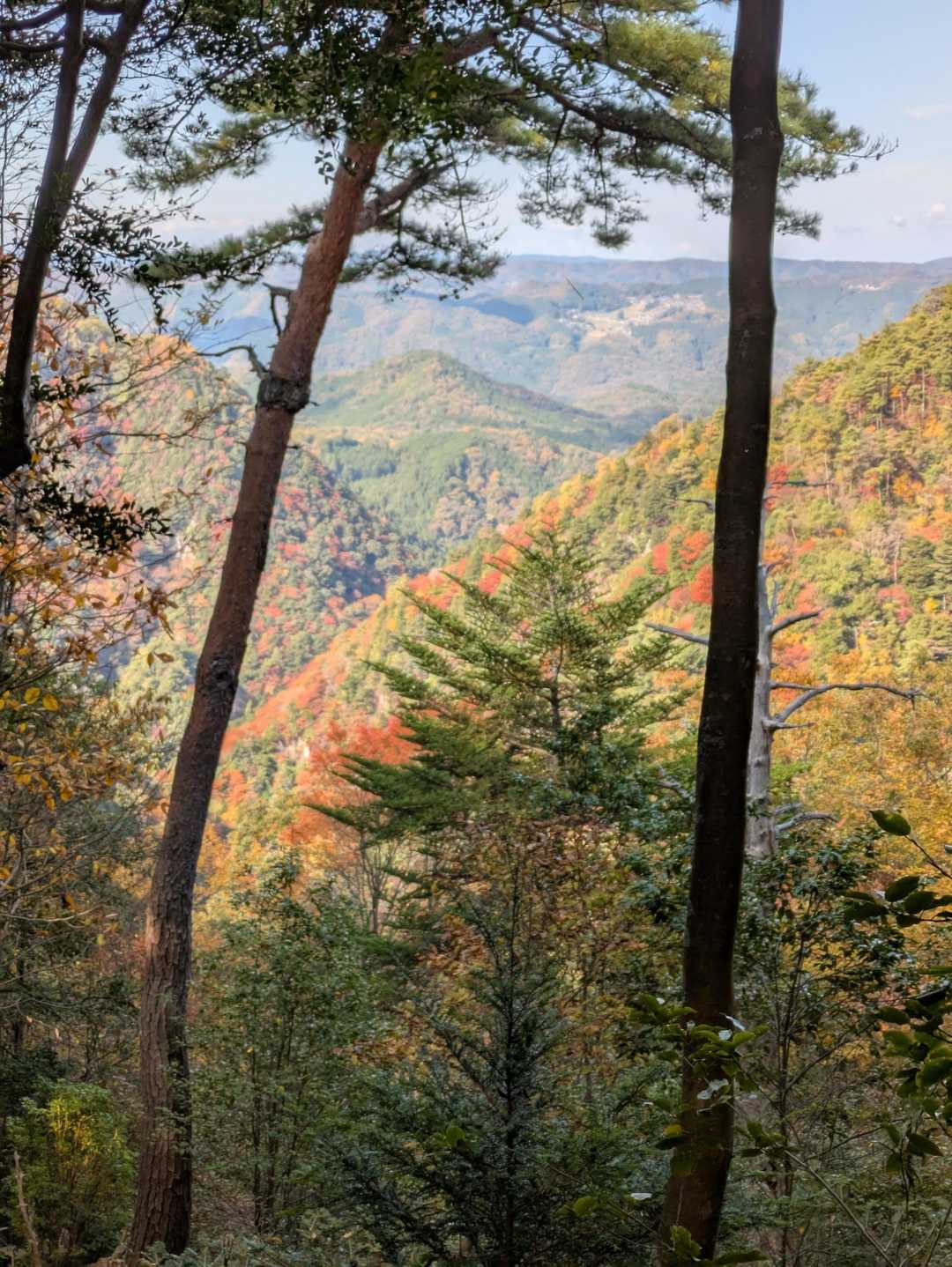 長坂山入山口-長坂山-赤目滝バス停 縦走コースの写真