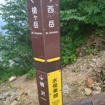 ここより槍沢と北鎌尾根へ分岐します。覇者しかこれないような行き交う登山者の装備でした。こちらにて山岳救助隊にも遭遇しお話しました。