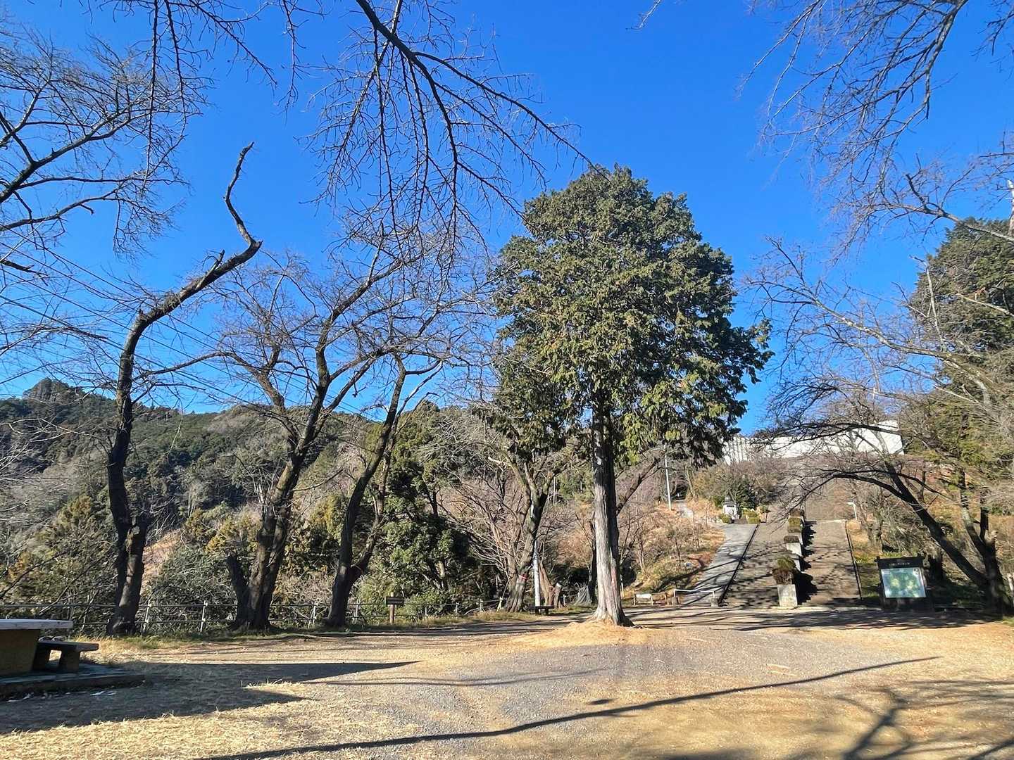 無名戦士の墓より一段下。左手に西山高取が見えます。駐車場満車で地上はわらわら人が歩いてましたが、ひとっこひとりいません。