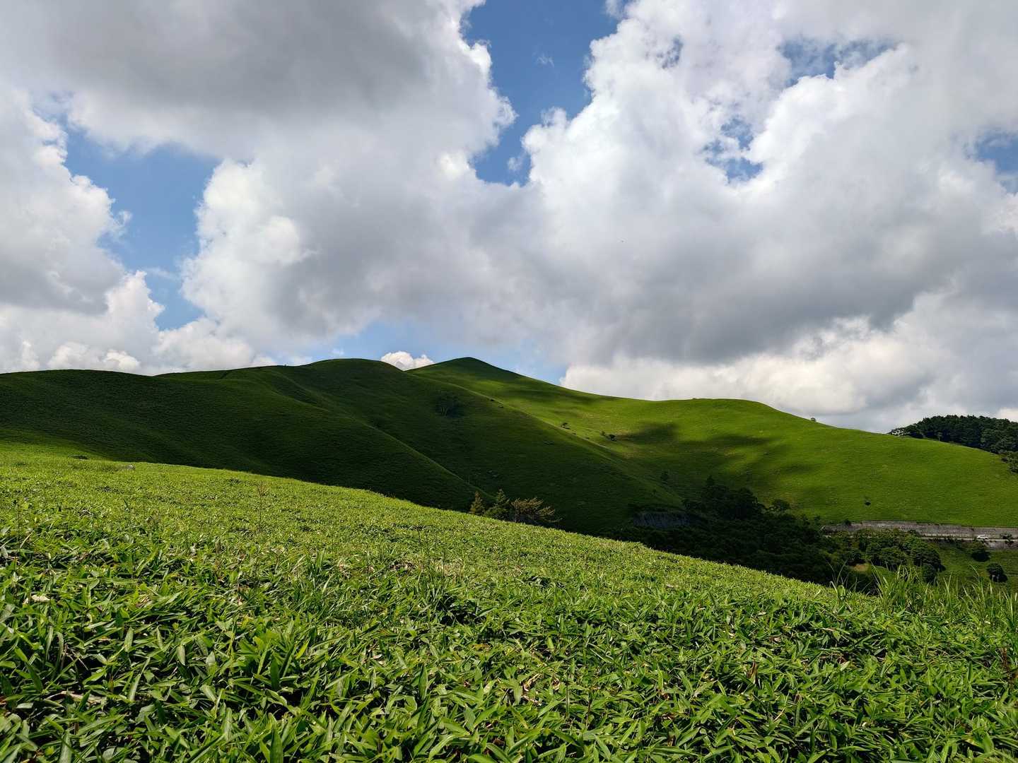 爽やかな高原感👒🌿‬