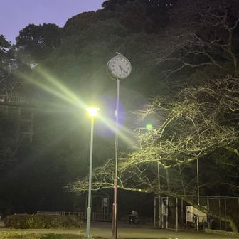 無事戻ってこれました
ありがとうございました👑