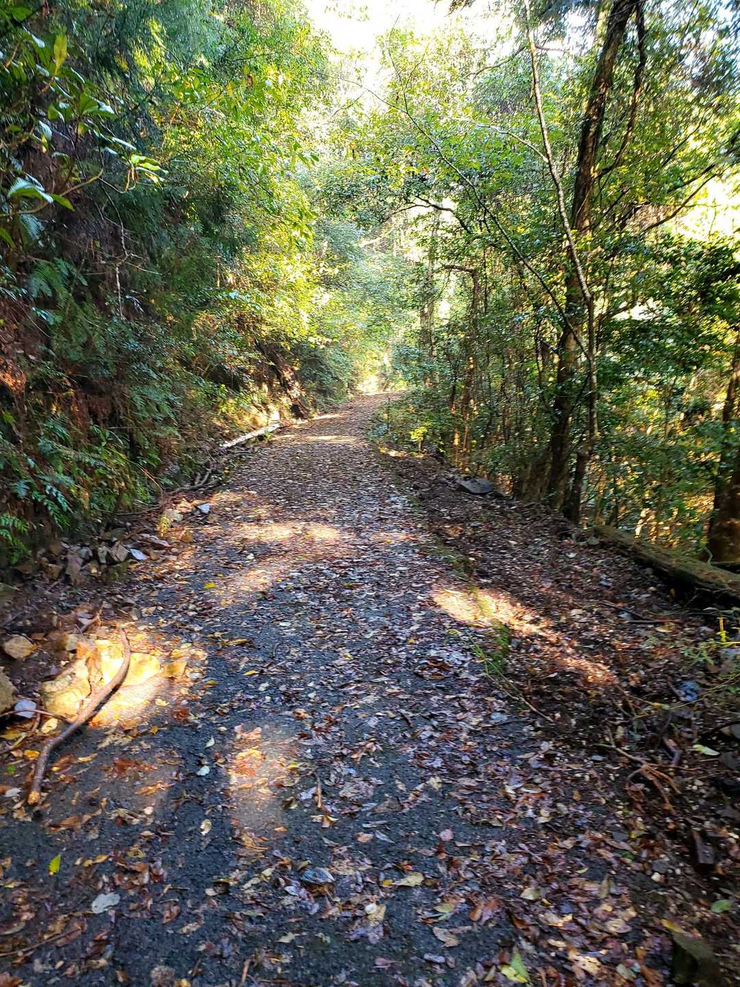 登山口まではちょっと歩く。
晴れてきた、よかった❗