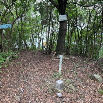 黒戸山のピーク