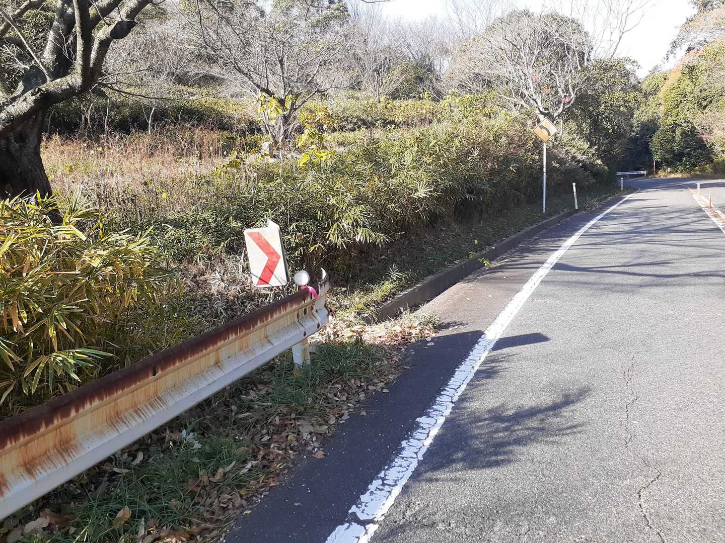 登山口入口の案内はありませんが
ここから左へ入っていきます

ガードレールの途切れた所
 〉 の標識  が目印です