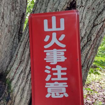 ユウスケ