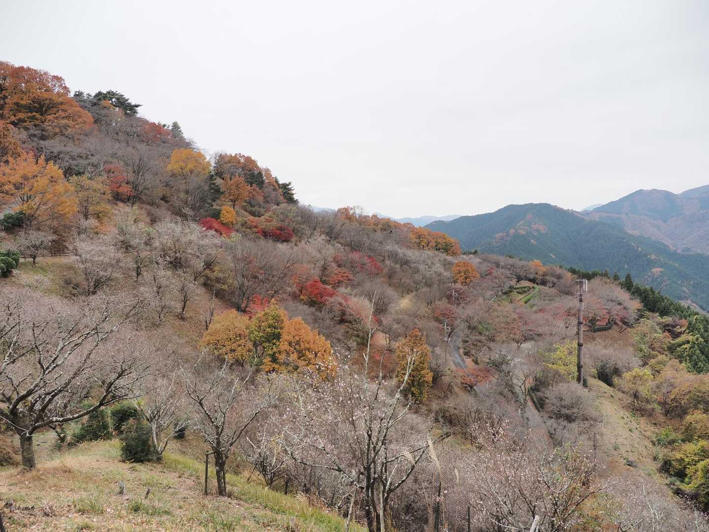 この景色✨好き📷️😊