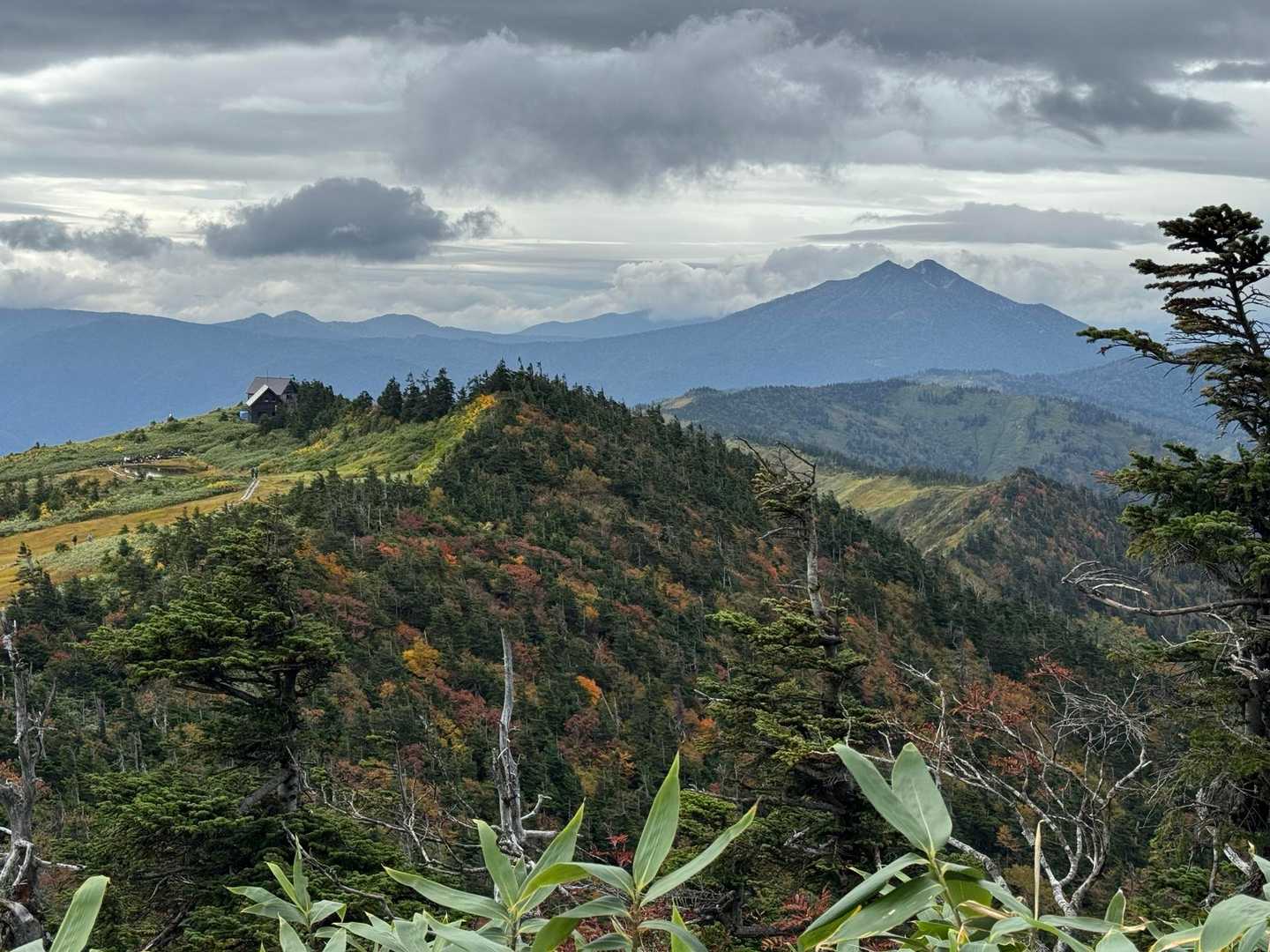 会津駒ヶ岳・中門岳 | 急登の先は池塘が点在する天上の楽園。開放感抜群の木道歩きの写真