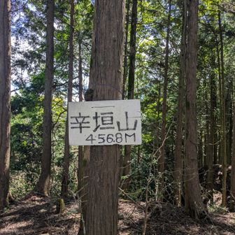ここ急登でキツかった
