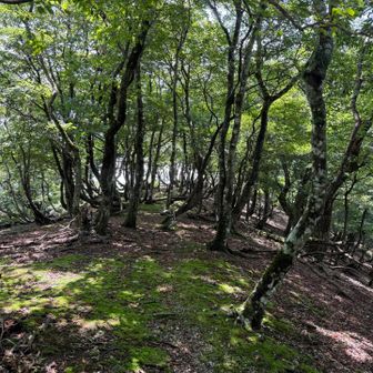 暑すぎず快適山歩