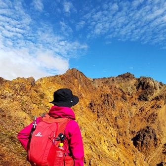トリさん🧡Keiko